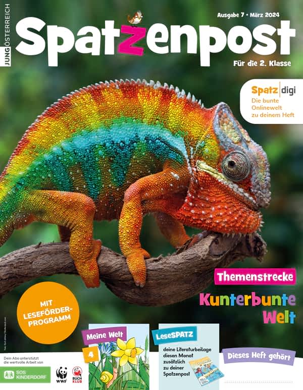 Cover Spatzenpost 2024 Maerz